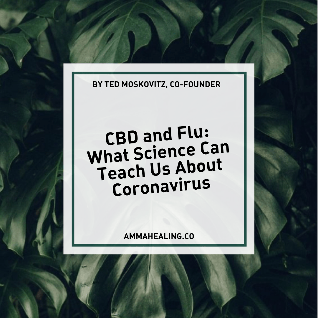 Cannabis and Flu: What Science Can Teach Us About Coronavirus - AMMA Healing